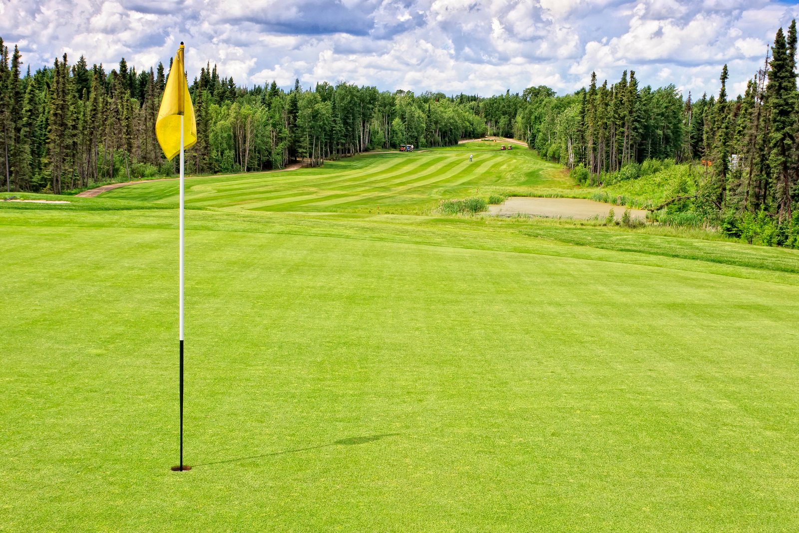 Golf in eurem Club